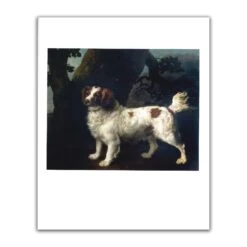 George Stubbs: All Done From Nature -Boutique De Cadeaux 1 554a4ffa 837e 40d0 9d07 47c4d8bc33eb