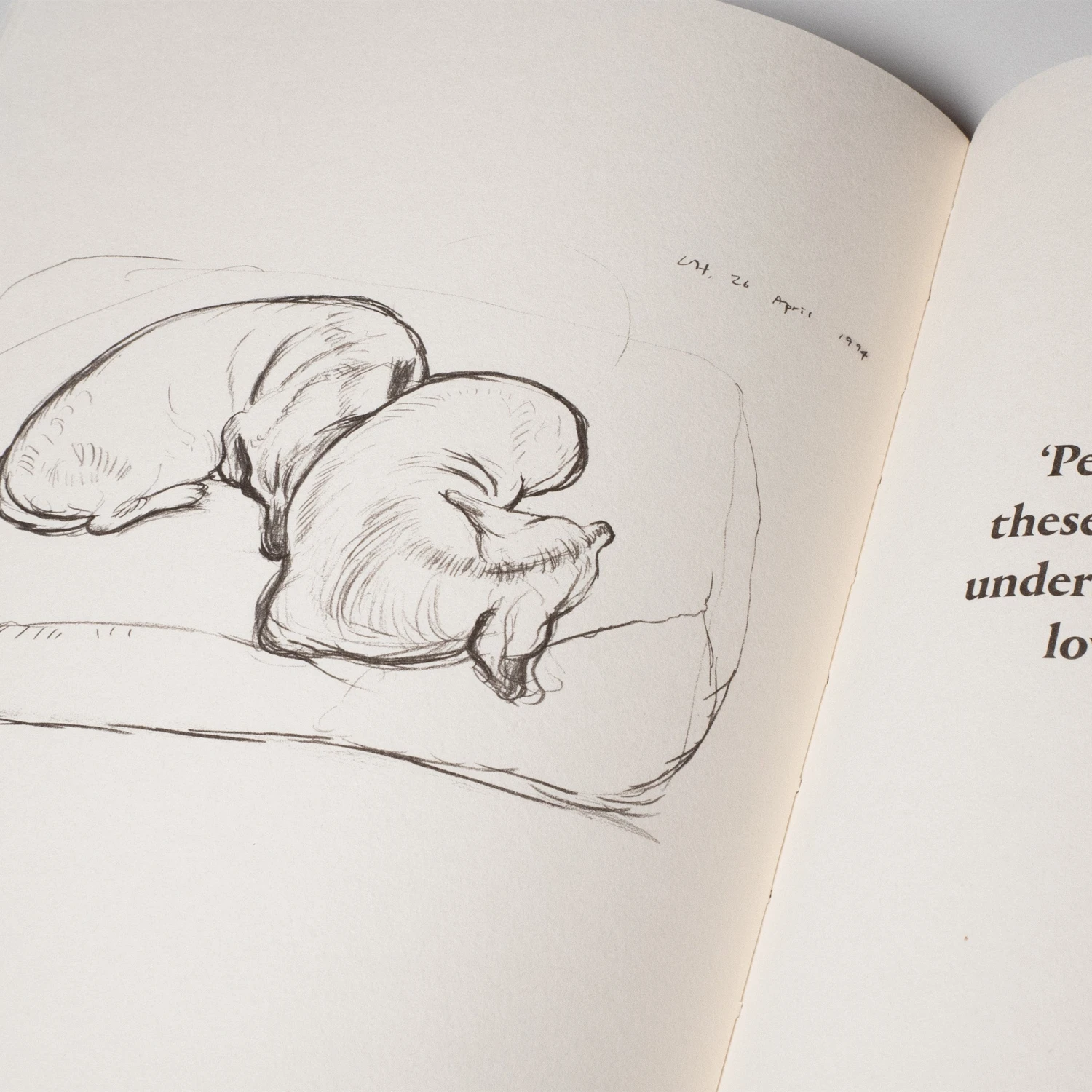 David Hockney Dog Days Sketchbook 5 David Hockney Dog Days Sketchbook â Image 3