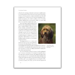 Dogs In Art 8 Dogs In Art -Boutique De Cadeaux 2 ae16d1a3 02f9 4b04 a0d0 59a88a5ddaa2