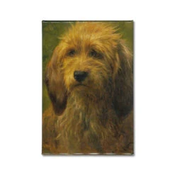 Brizo, A Shepherd's Dog Magnet