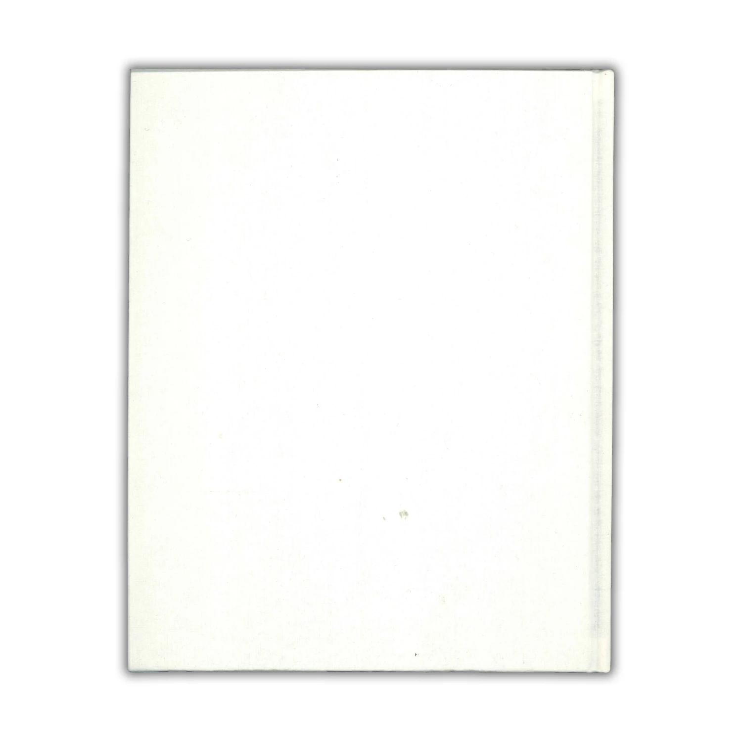 Gouthiere's Candelabras 6 Gouthiere's Candelabras – Image 4