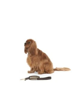 Mungo & Maud Faithful Friend Dog Lead -Boutique De Cadeaux LEW34567890 175