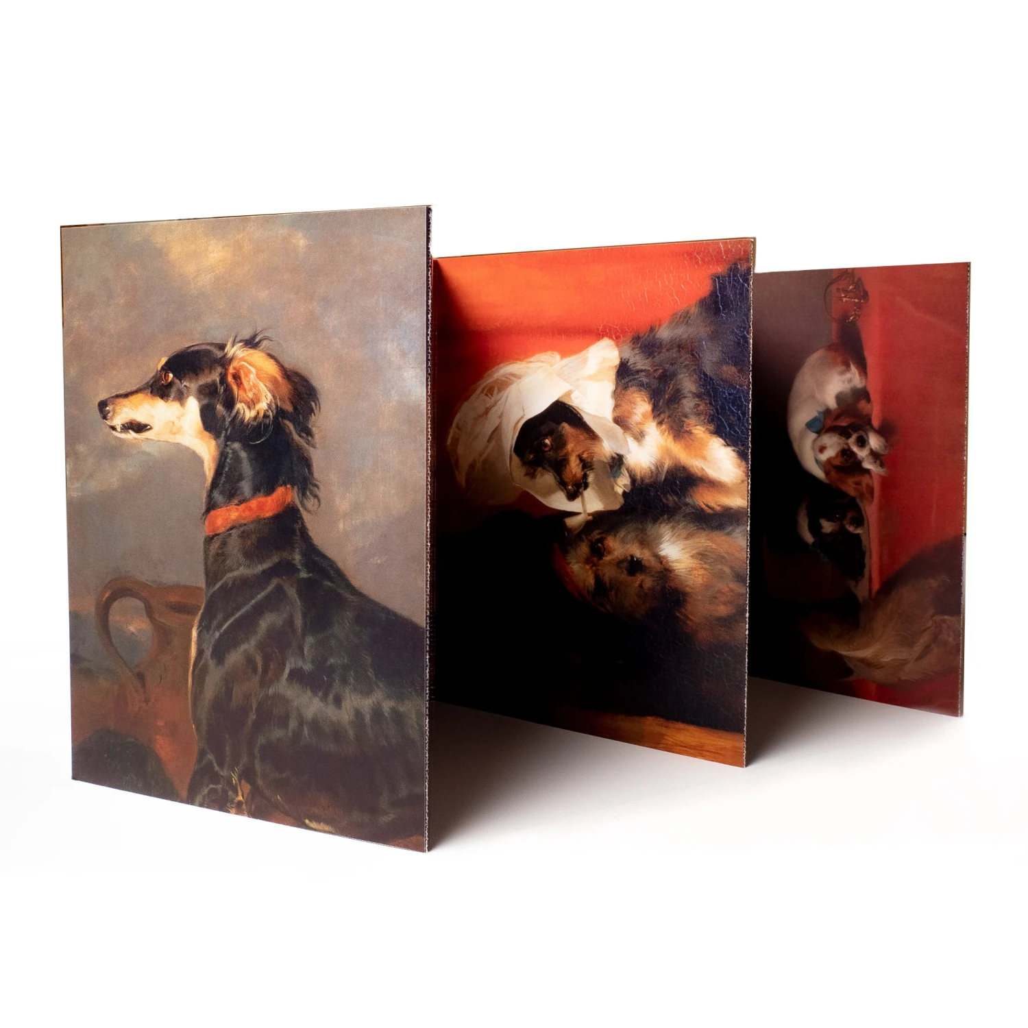 Portrait Of Dogs Concertina Postcard Pack 3 Portrait Of Dogs Concertina Postcard Pack
