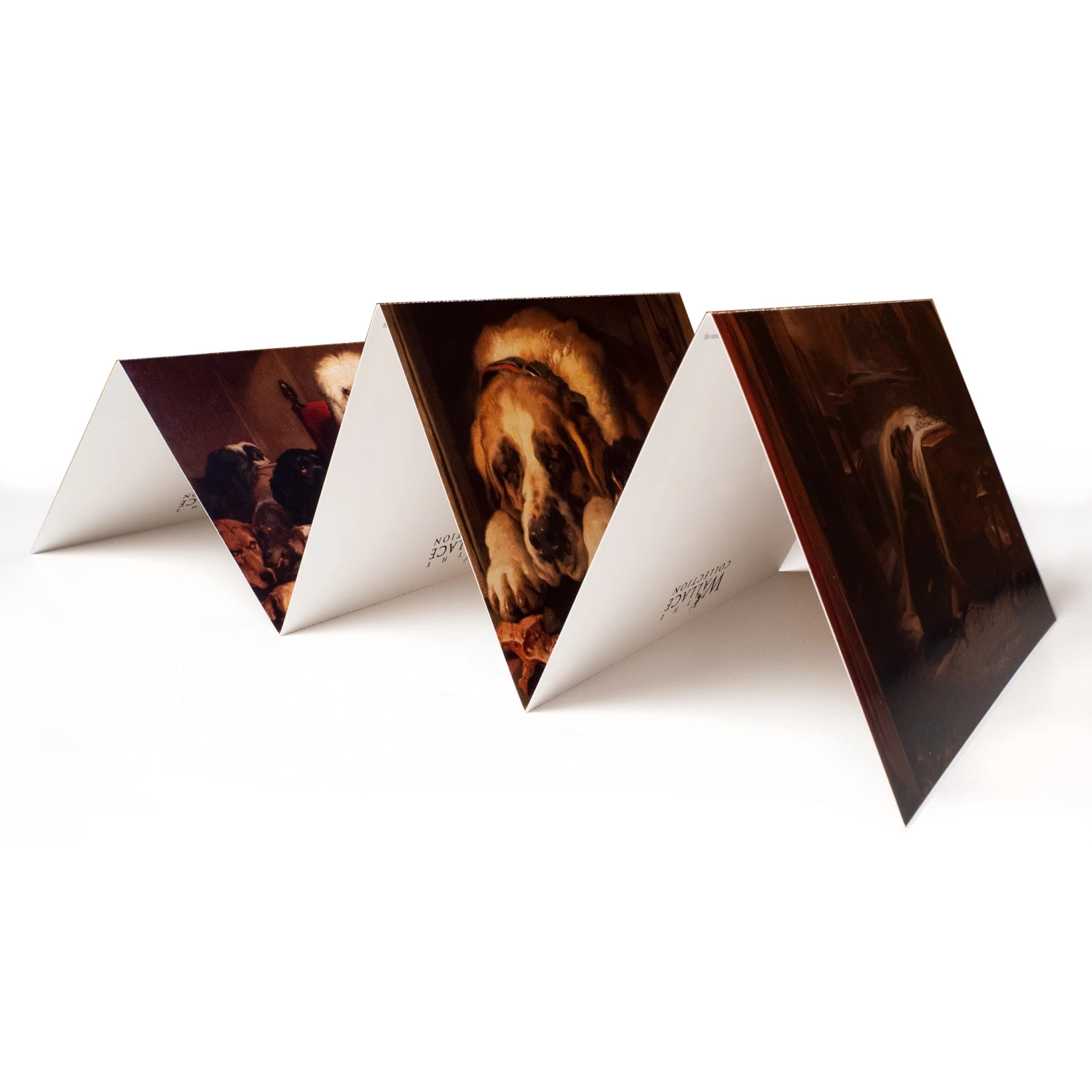 Portrait Of Dogs Concertina Postcard Pack 5 Portrait Of Dogs Concertina Postcard Pack – Image 3