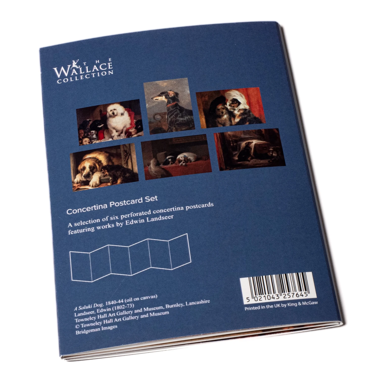 Portrait Of Dogs Concertina Postcard Pack 6 Portrait Of Dogs Concertina Postcard Pack – Image 4