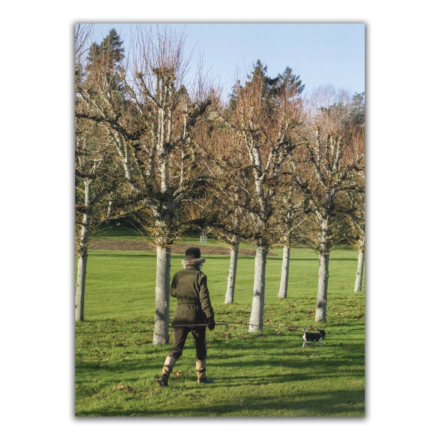 Top Dogs: A British Love Affair 6 Top Dogs: A British Love Affair – Image 4