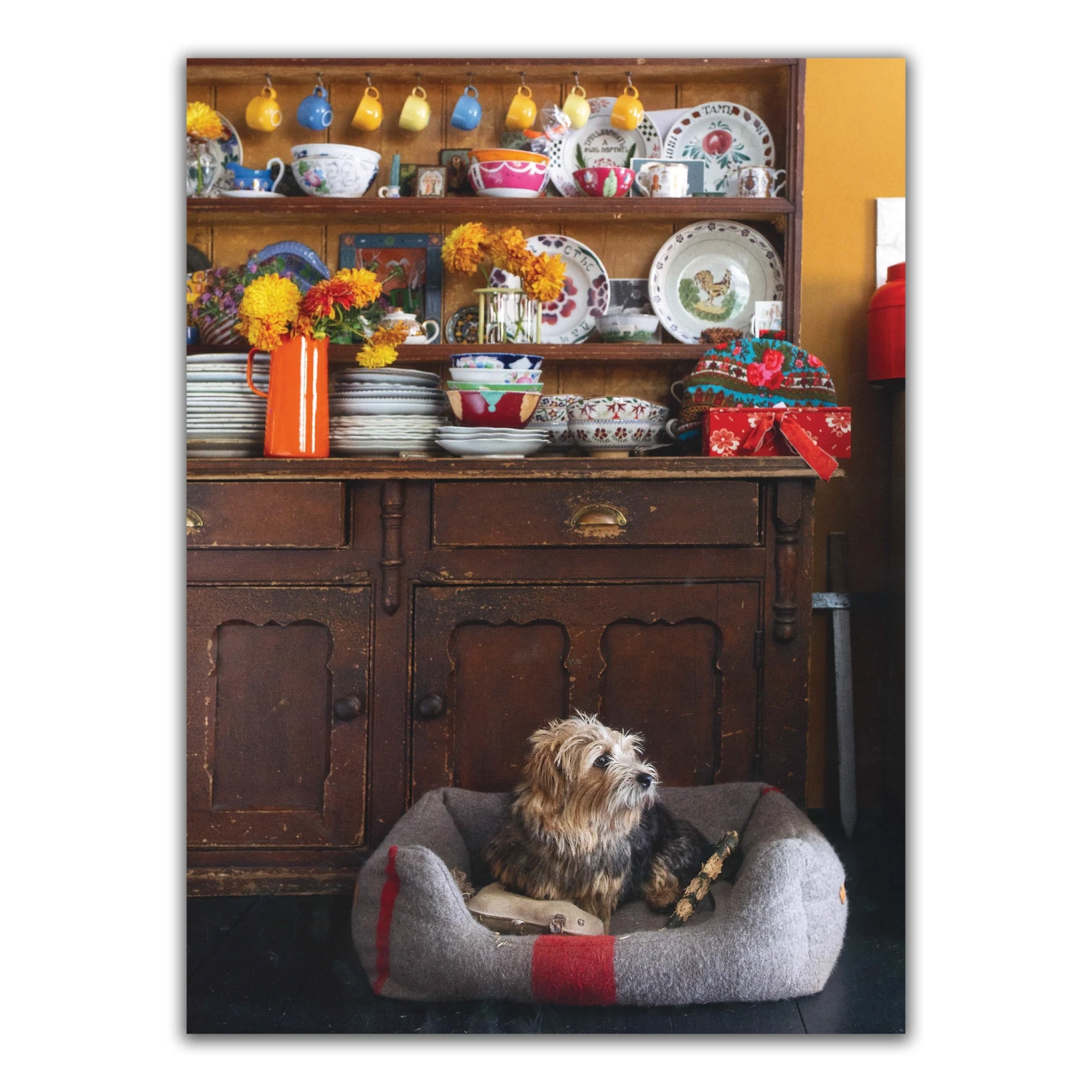 Top Dogs: A British Love Affair 4 Top Dogs: A British Love Affair – Image 2