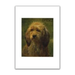 Brizo, A Shepherd's Dog A3 Mounted Mini Print