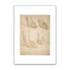 Study Of A Dog's Paw A3 Mounted Print 2 Study Of A Dog's Paw A3 Mounted Print -Boutique De Cadeaux final