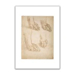 Study Of A Dog's Paw A3 Mounted Print